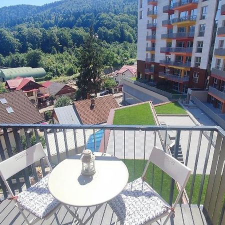 Belle View Sinaia-Free Parking Apartment Exterior foto