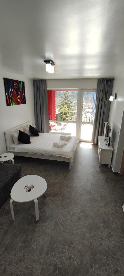 Belle View Sinaia-Free Parking Apartment Exterior foto