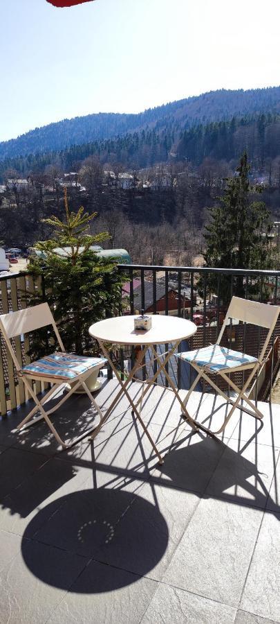 Belle View Sinaia-Free Parking Apartment Exterior foto