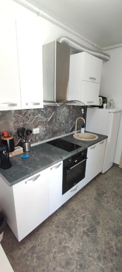 Belle View Sinaia-Free Parking Apartment Exterior foto
