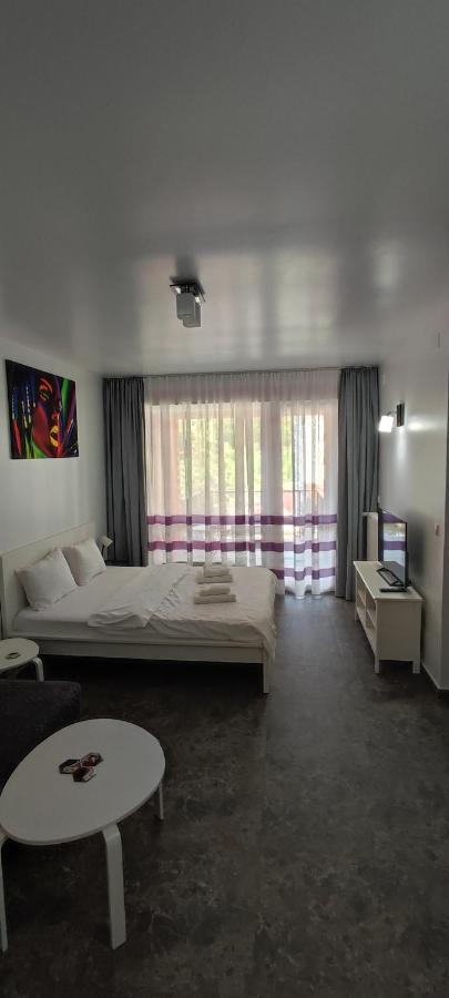 Belle View Sinaia-Free Parking Apartment Exterior foto