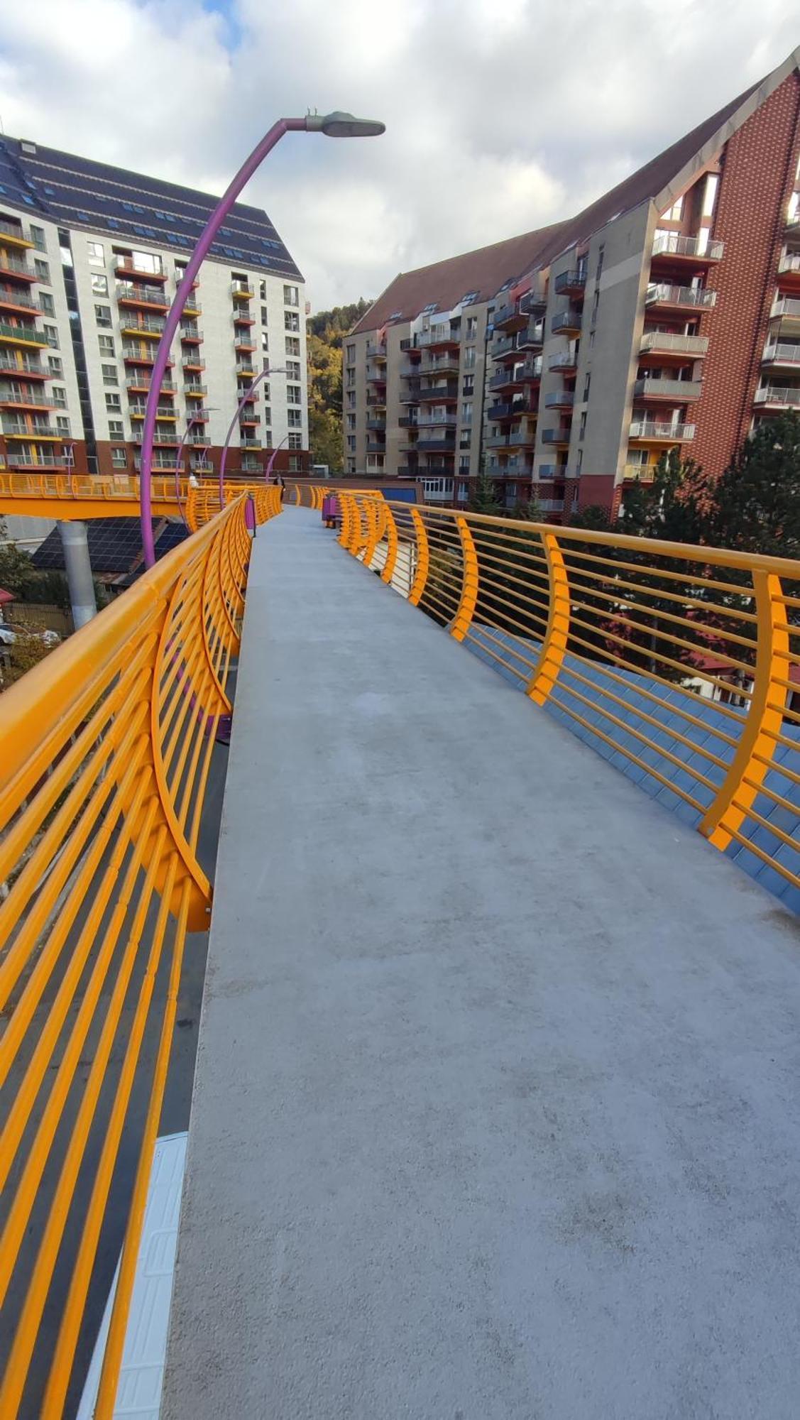 Belle View Sinaia-Free Parking Apartment Exterior foto